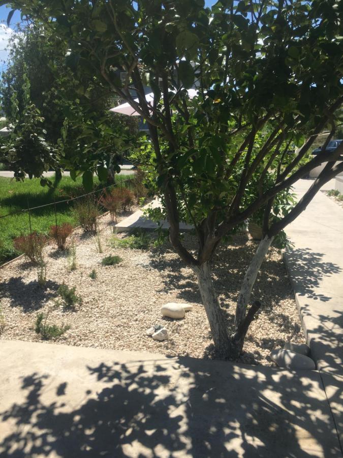 לגאנאס Joy Apartments Zakynthos מראה חיצוני תמונה